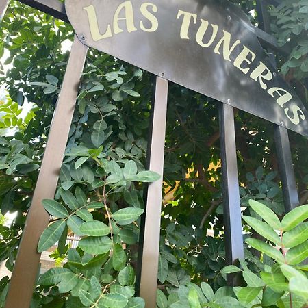 Las Tuneras Apartamento En San Agustin San Bartolomé Exterior foto